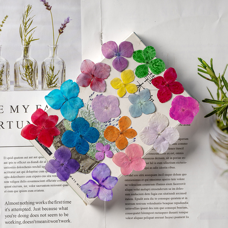 60 قطعة من زهور الهيدرانجيا ال - مراجعة Resin Art Bookmark وسعره