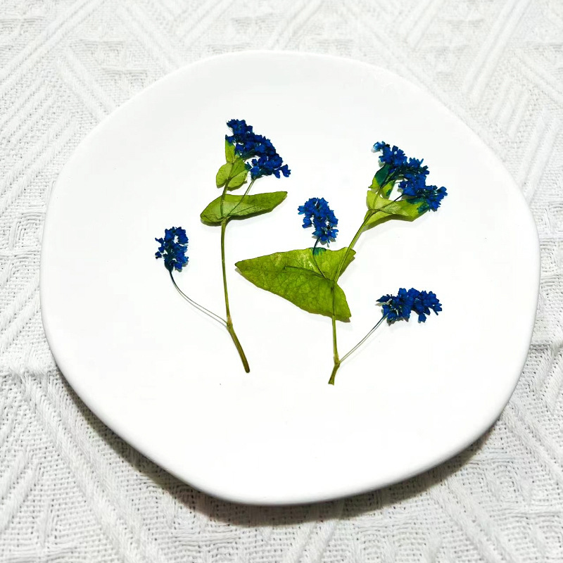1 مجموعة الطبيعية المجففة فاجو - مراجعة Resin Art Bookmark وسعره