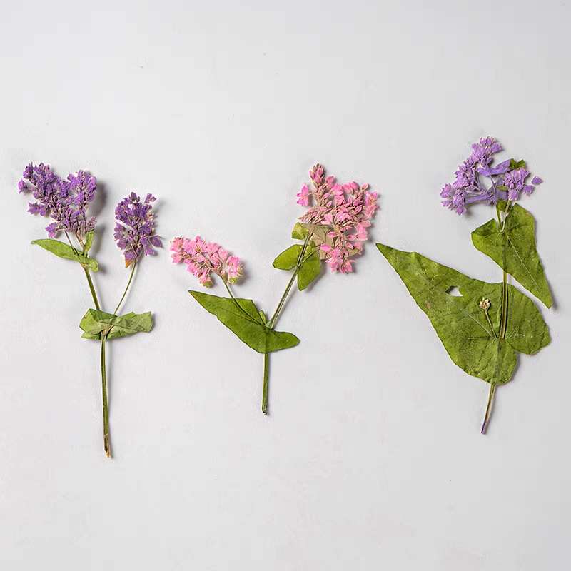 1 مجموعة الطبيعية المجففة فاجو - مراجعة Resin Art Bookmark وسعره