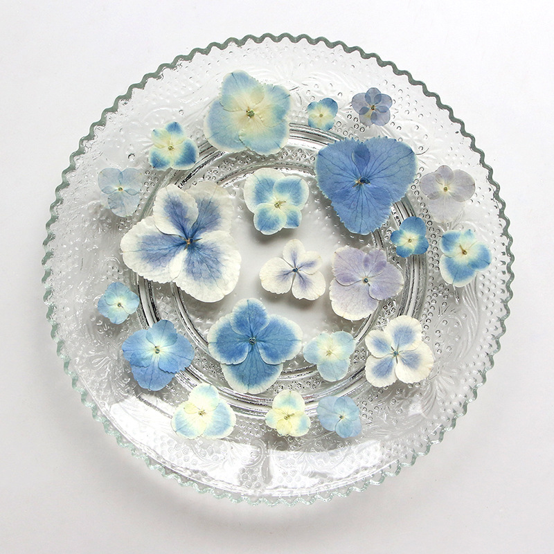 نباتات هيدرانجيا بيضاء زرقاء م - مراجعة Resin Art Bookmark وسعره