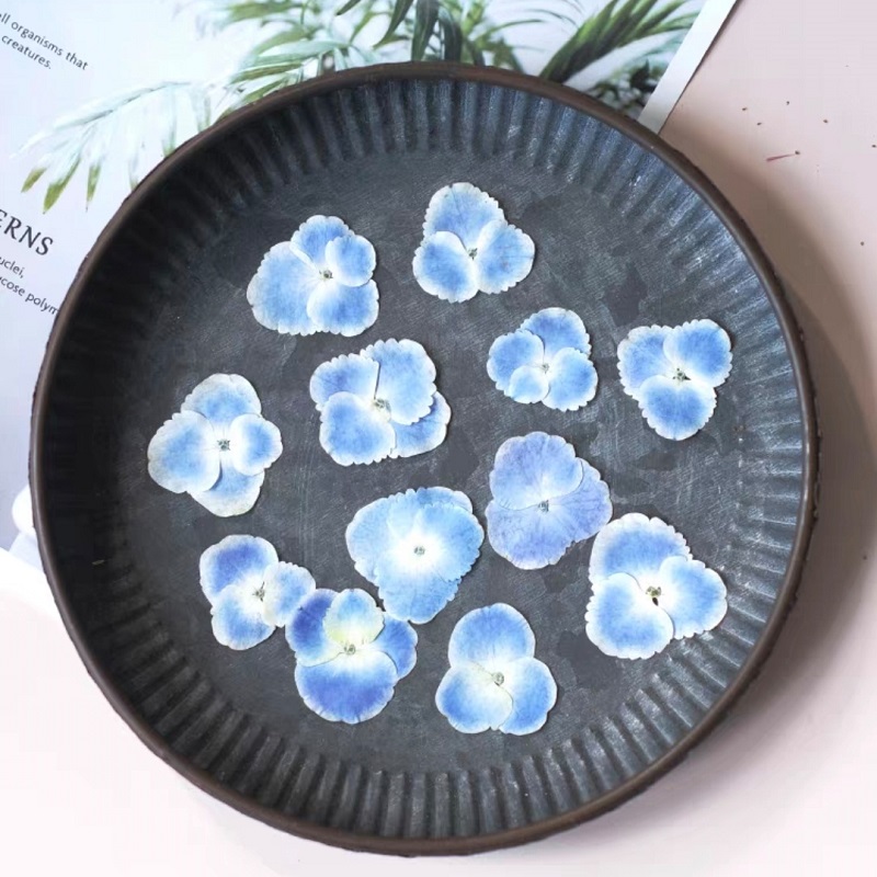 نباتات هيدرانجيا بيضاء زرقاء م - مراجعة Resin Art Bookmark وسعره